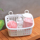 Hanging Basket Organizer