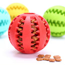 Petfy Ball Interactive