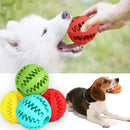 Petfy Ball Interactive